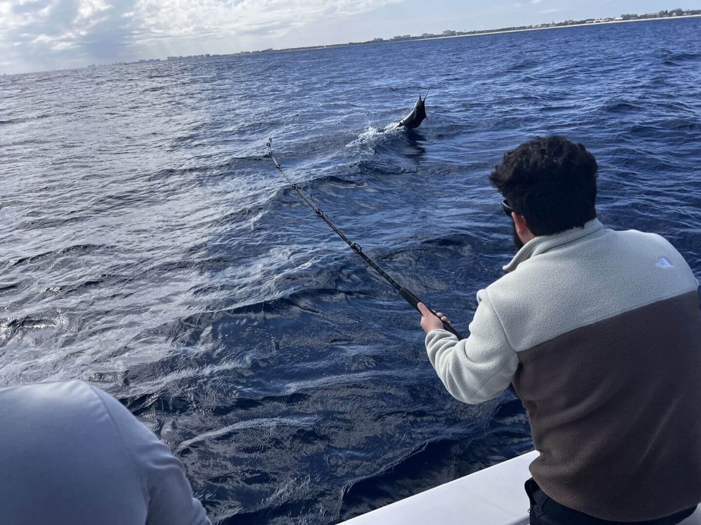 6 Hour Sportfishing and Live Bait Trip